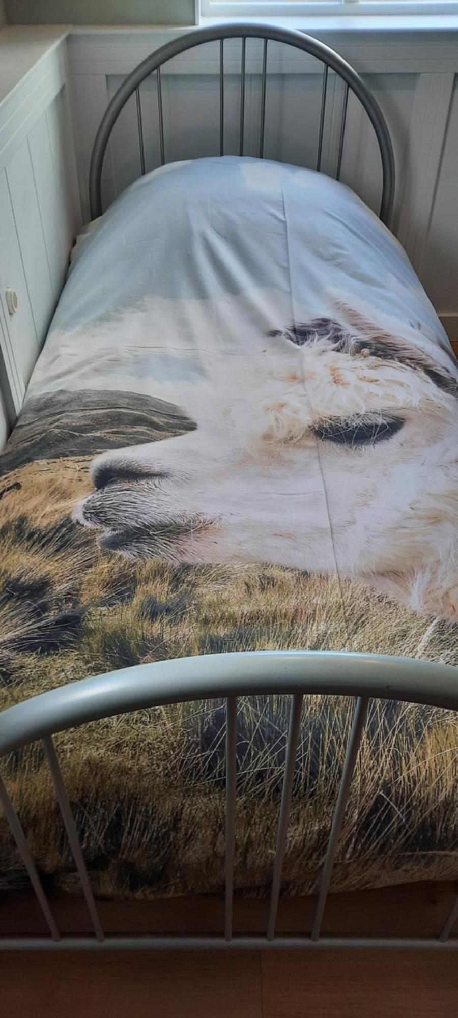 B&B De Raamberg Zundert Zimmer foto